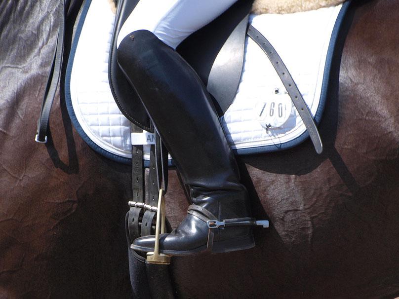 Parlanti Miami Tall Boots 38/52 3