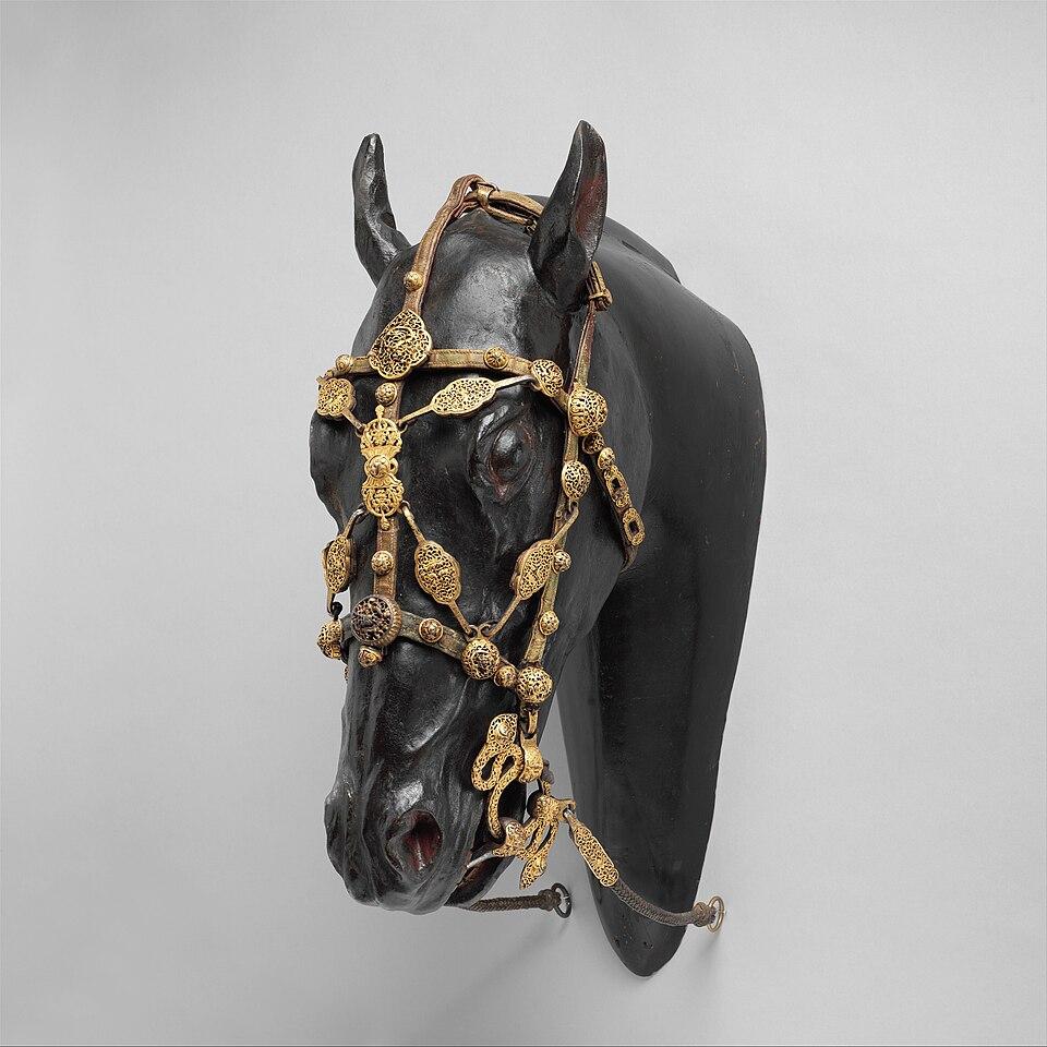 Nice bridle