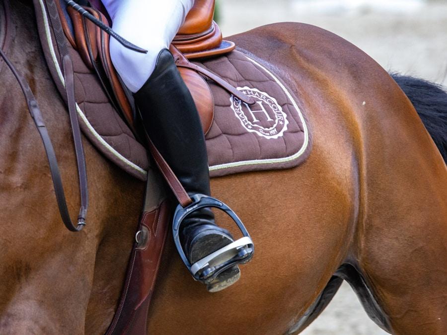 Schleese Infinity Dressage Saddle 17.5"